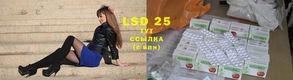 индика Алексин