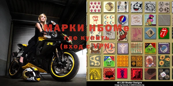 индика Алексин