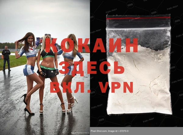 индика Алексин
