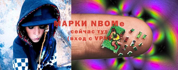 индика Алексин