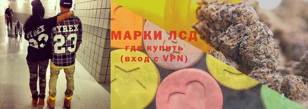 индика Алексин