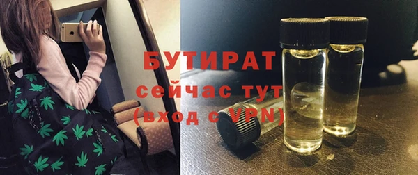 индика Алексин